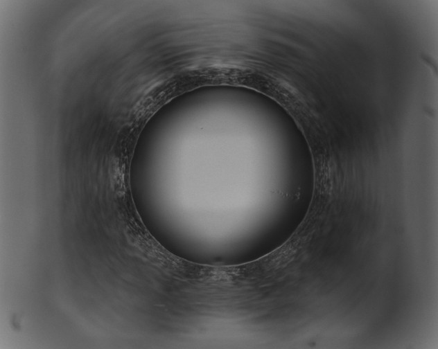 X0000101981013200807181120