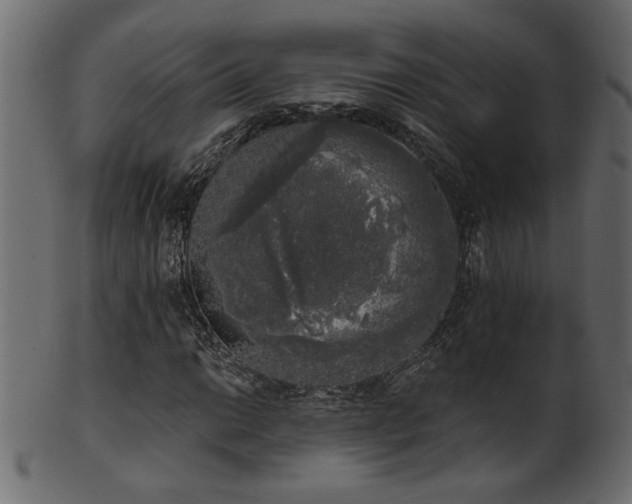 X0000101981014200807181120