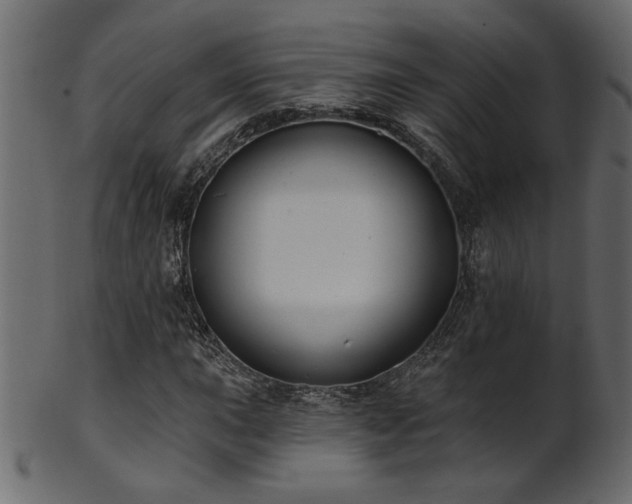 X0000101981015200807181120