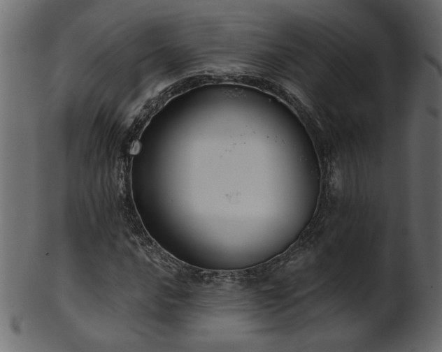 X0000101981016200807181120