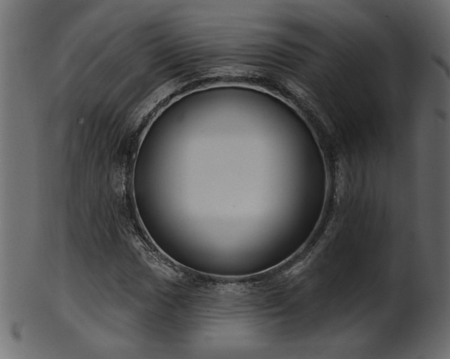 X0000101981017200807181120