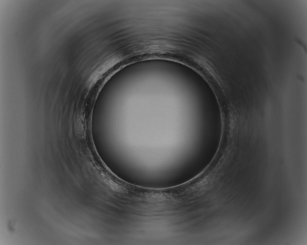 X0000101981018200807181120