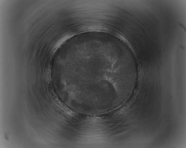 X0000101981019200807181120