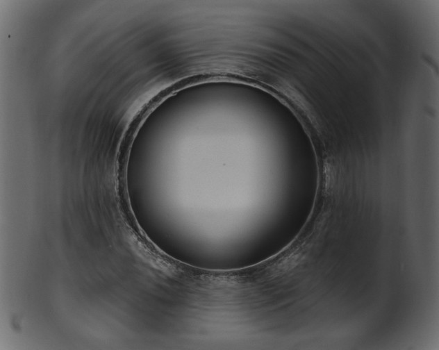 X0000101981020200807181120