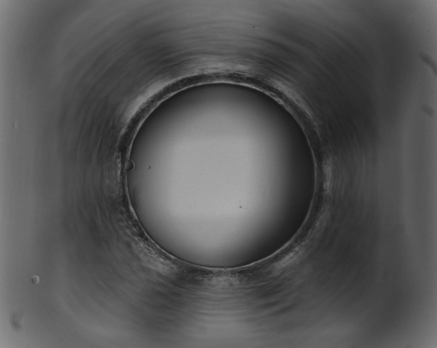 X0000101981021200807181120