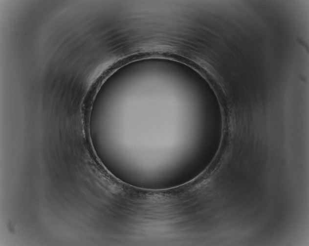 X0000101981022200807181120