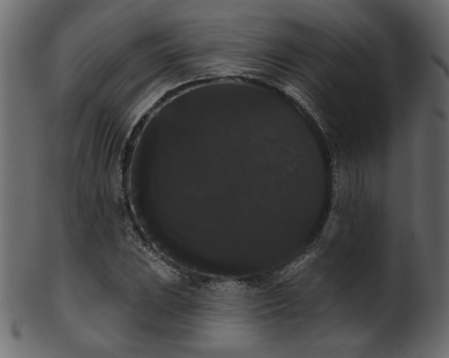 X0000101981023200807181120