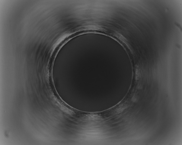 X0000101981024200807181120