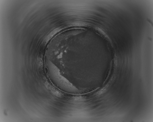 X0000101981025200807181120