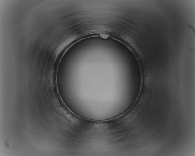 X0000101981026200807181120