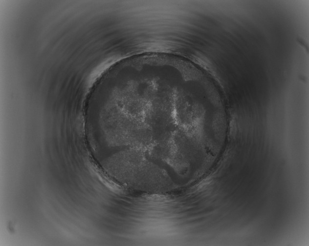 X0000101981027200807181120