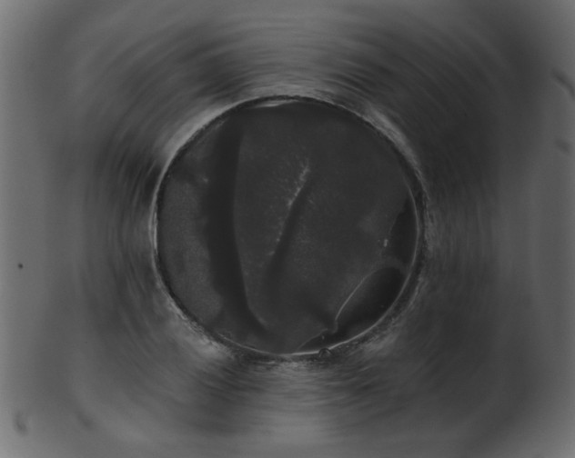 X0000101981028200807181120