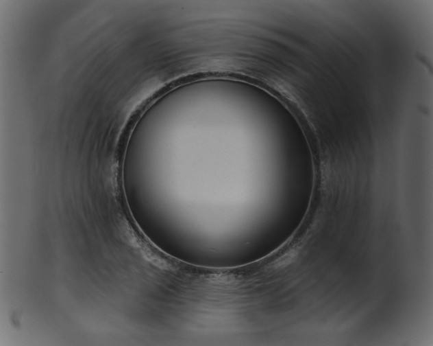 X0000101981029200807181120