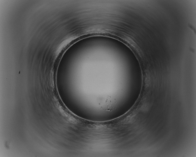 X0000101981030200807181120