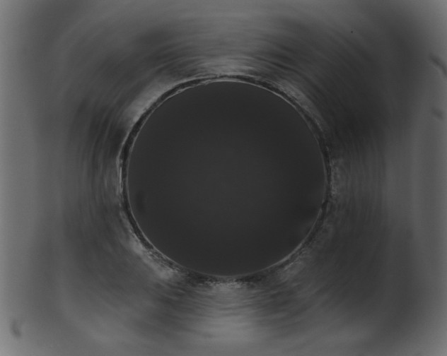 X0000101981031200807181120