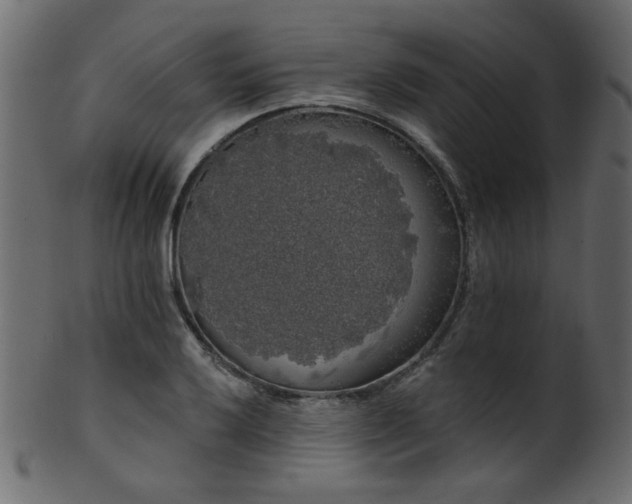 X0000101981032200807181120