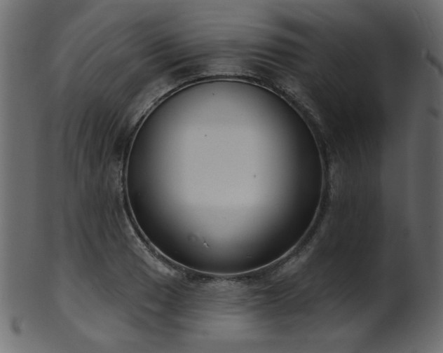 X0000101981033200807181120