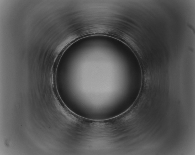 X0000101981034200807181120