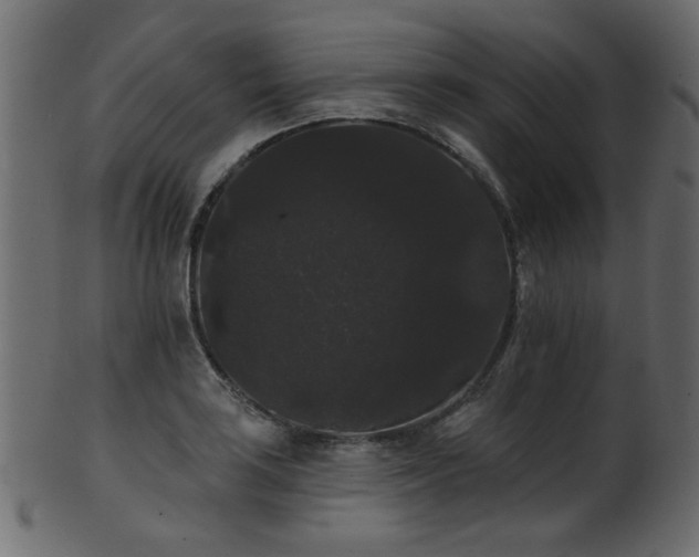 X0000101981035200807181120