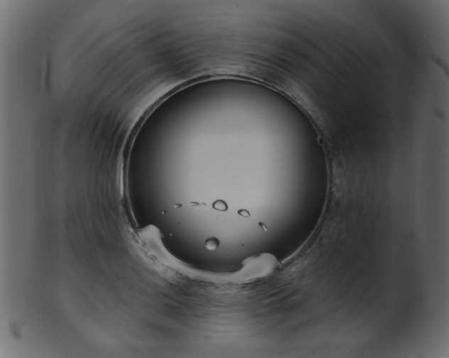 X0000101981036200807181120