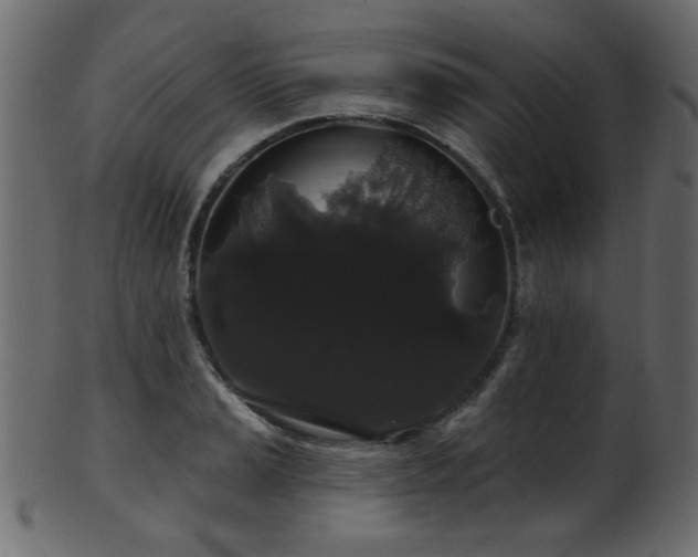 X0000101981037200807181120