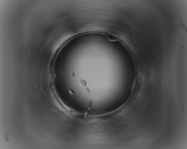 X0000101981038200807181120