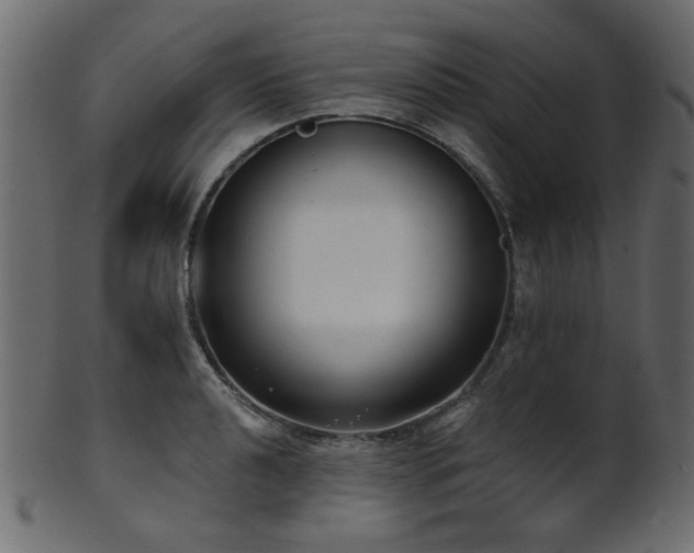 X0000101981040200807181120