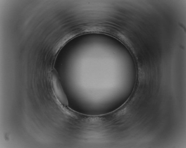 X0000101981041200807181120