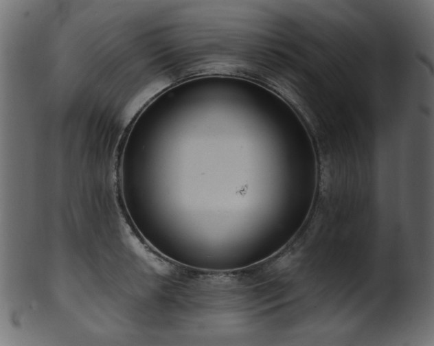 X0000101981042200807181120