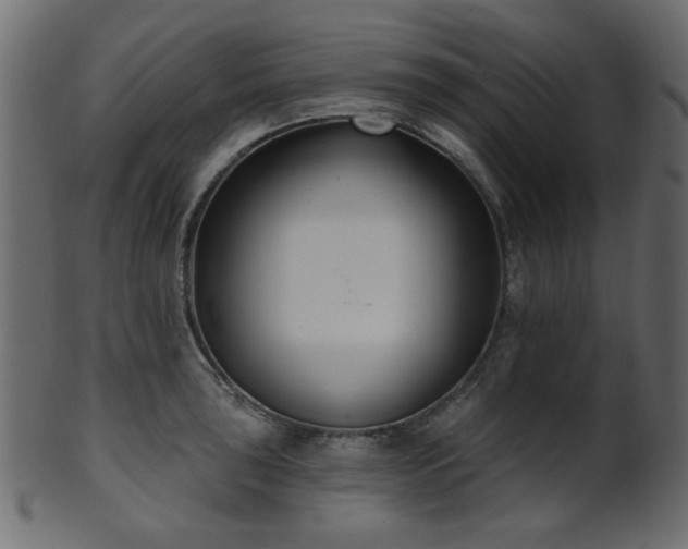 X0000101981043200807181120