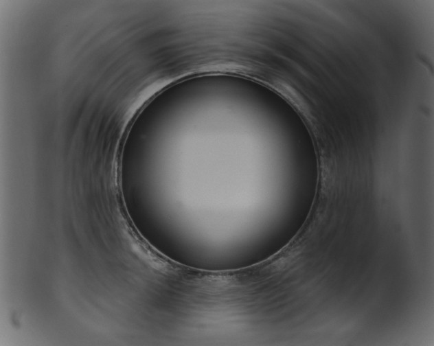 X0000101981044200807181120