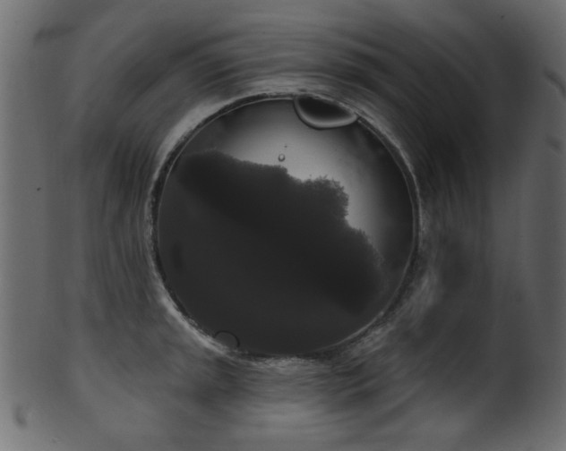 X0000101981045200807181120