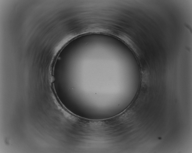 X0000101981046200807181120