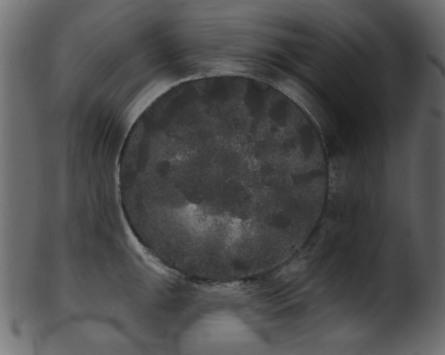 X0000101981047200807181120