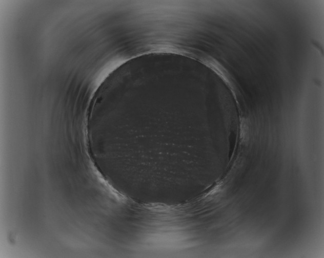 X0000101981048200807181120