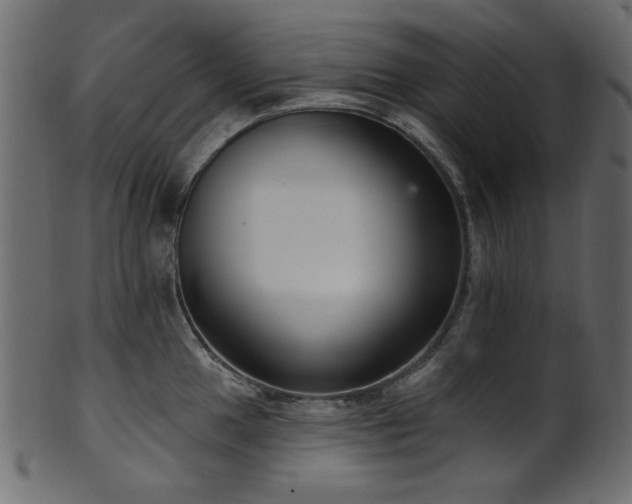 X0000101981049200807181120