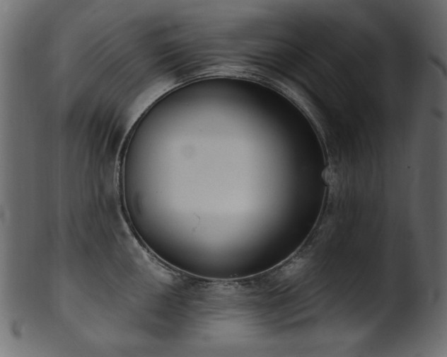 X0000101981050200807181120