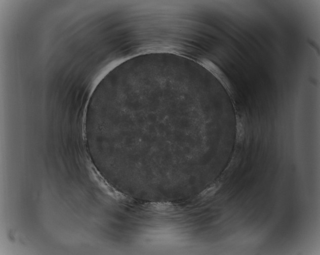 X0000101981052200807181120