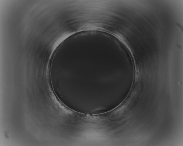 X0000101981053200807181120