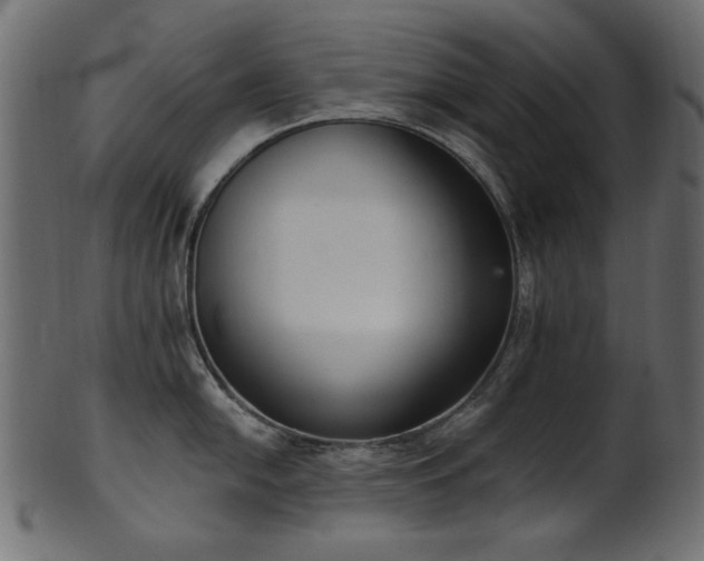 X0000101981054200807181120