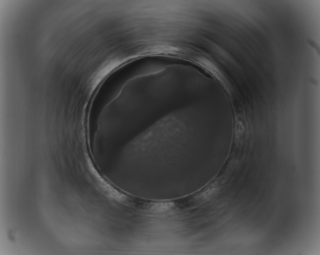 X0000101981055200807181120