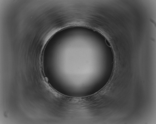 X0000101981056200807181120