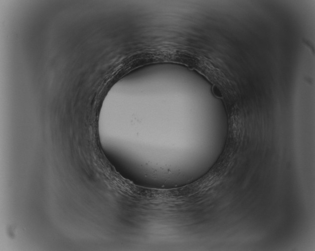 X0000101981057200807181120