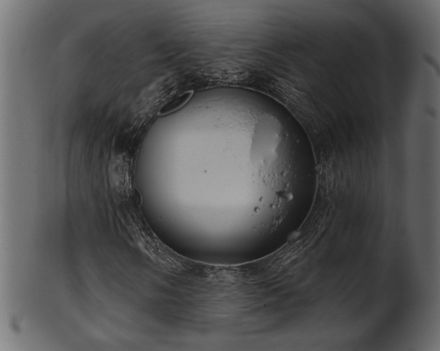 X0000101981058200807181120