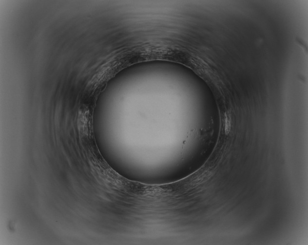 X0000101981059200807181120