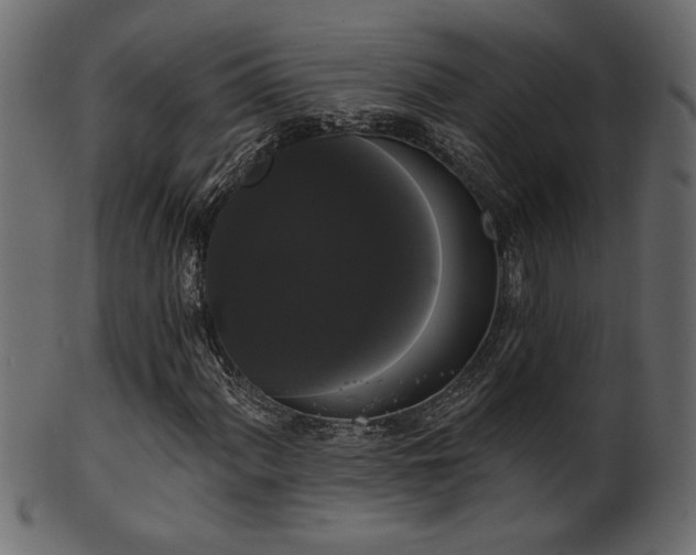 X0000101981060200807181120