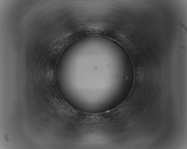 X0000101981061200807181120