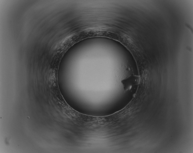 X0000101981062200807181120