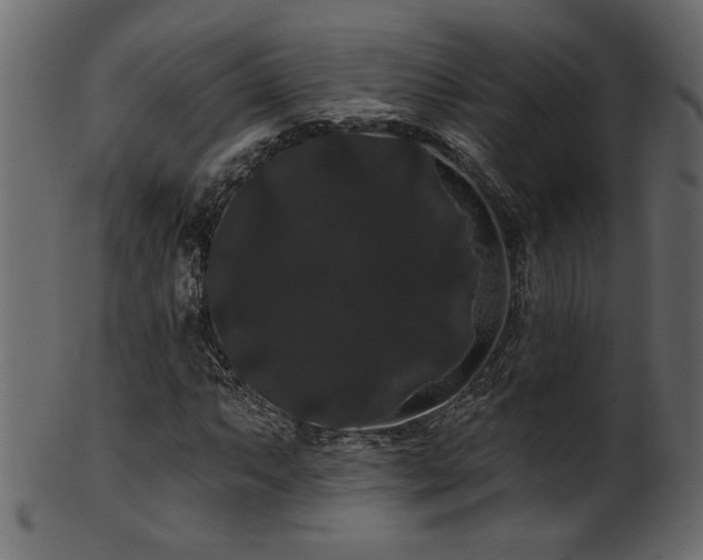 X0000101981063200807181120