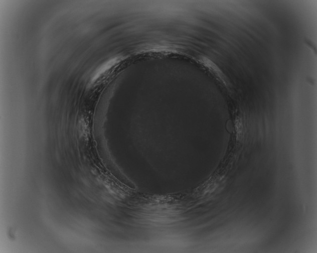 X0000101981064200807181120